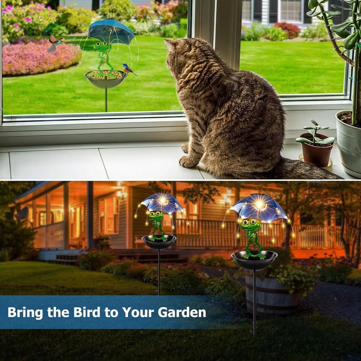 Hummingbird Feeder And Frog Garden Light